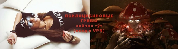 гашик Бронницы