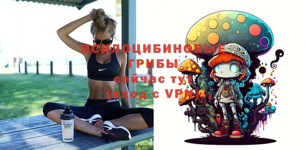 гашик Бронницы