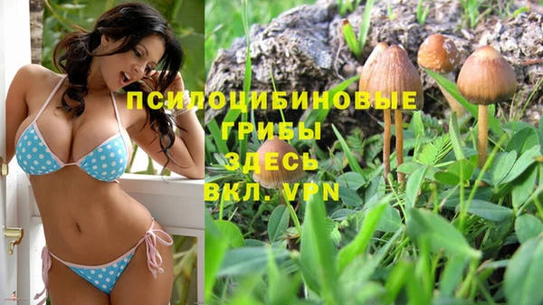 Альфа ПВП Бугульма