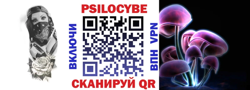 купить наркоту  Каменногорск  Галлюциногенные грибы Cubensis 
