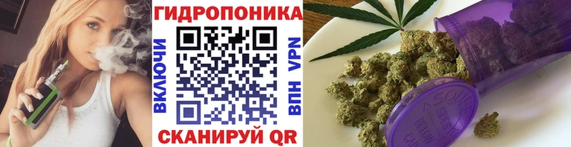 где купить   Каменногорск  Бошки марихуана планчик 